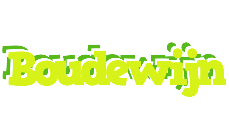 Boudewijn citrus logo
