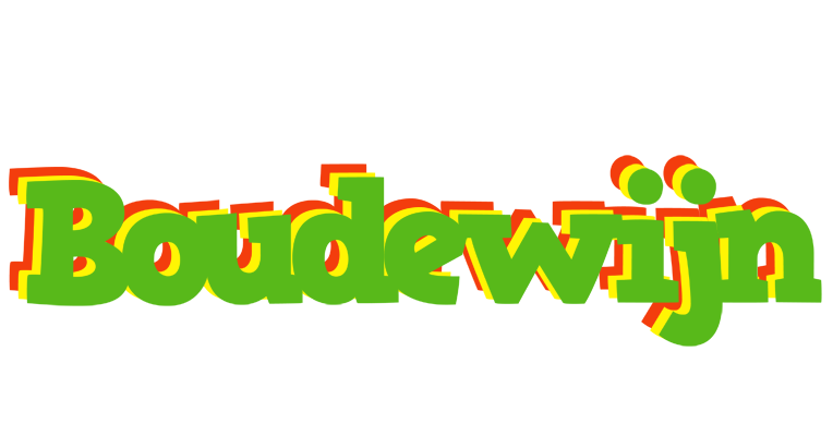 Boudewijn crocodile logo