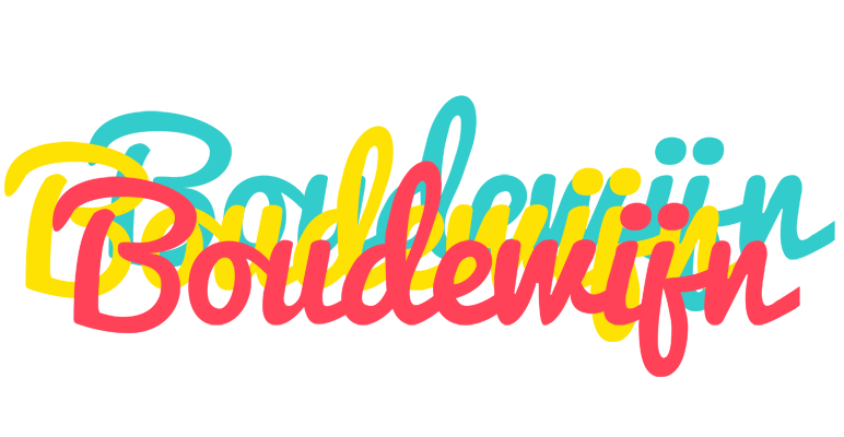 Boudewijn disco logo