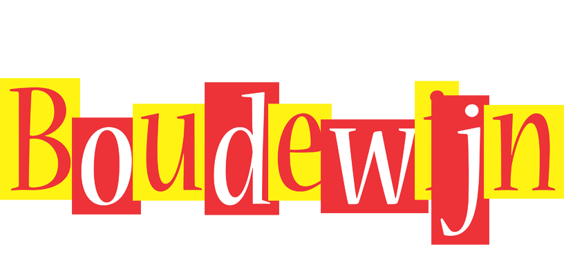 Boudewijn errors logo