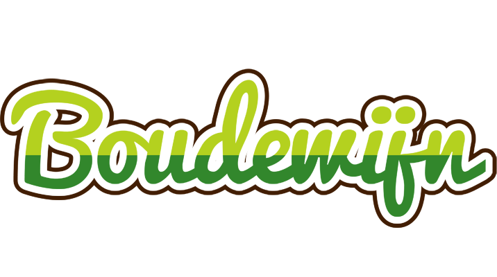 Boudewijn golfing logo