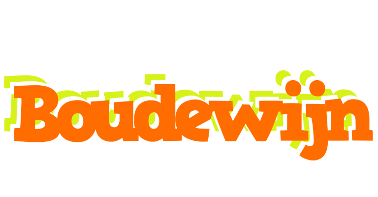 Boudewijn healthy logo