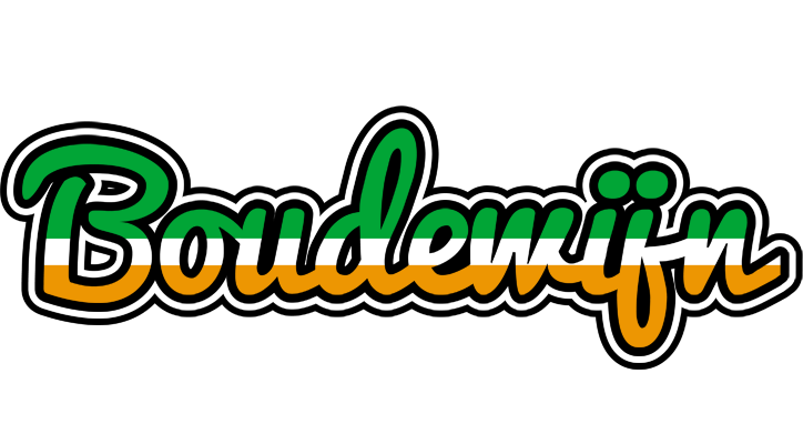 Boudewijn ireland logo