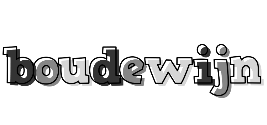 Boudewijn night logo