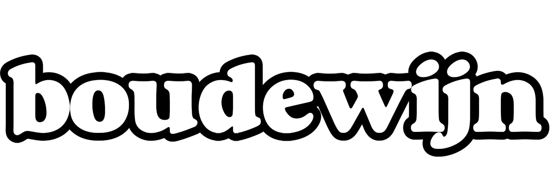 Boudewijn panda logo