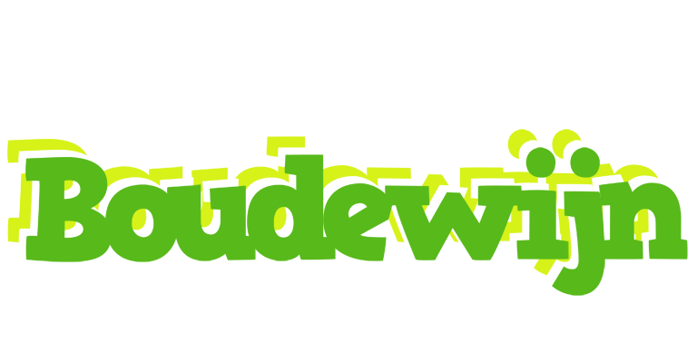 Boudewijn picnic logo