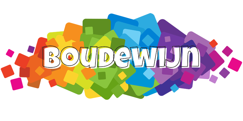 Boudewijn pixels logo