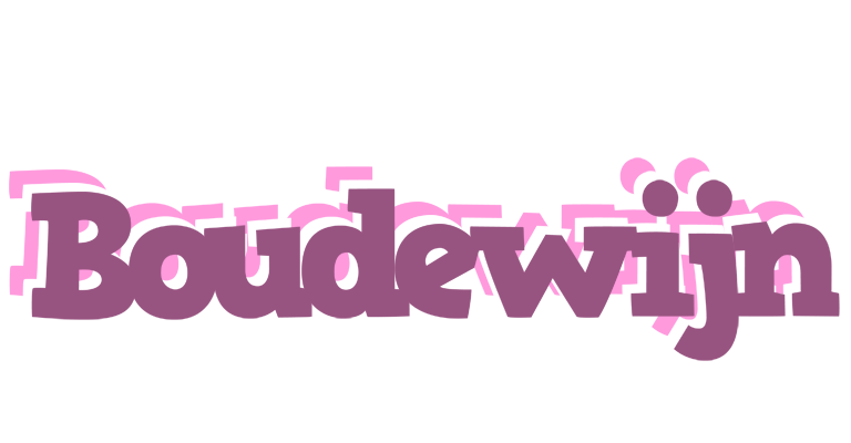 Boudewijn relaxing logo