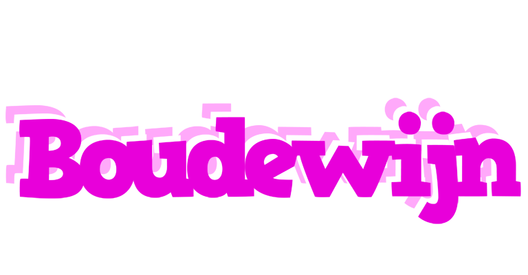 Boudewijn rumba logo