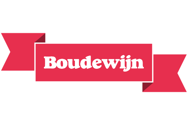 Boudewijn sale logo