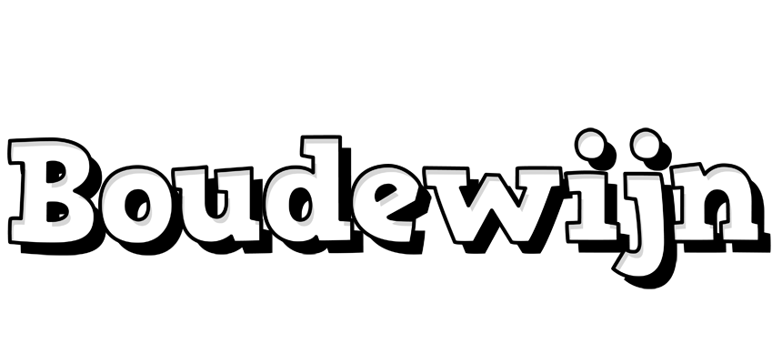 Boudewijn snowing logo