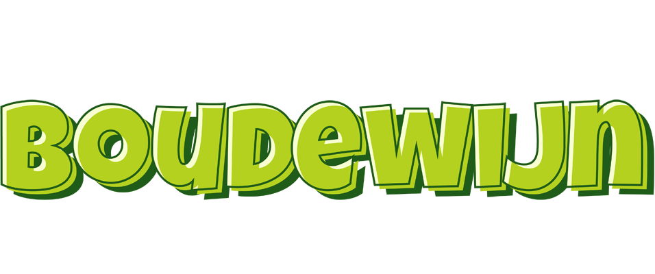 Boudewijn summer logo