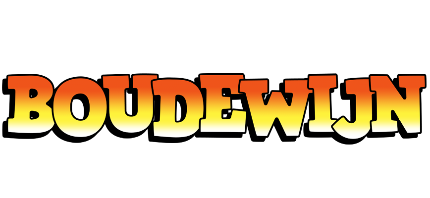 Boudewijn sunset logo