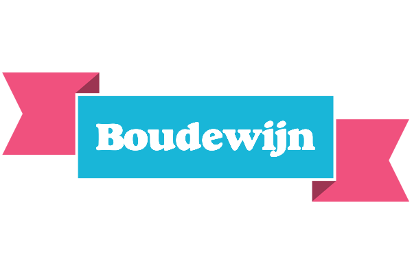 Boudewijn today logo