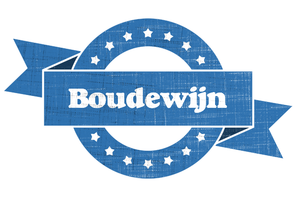 Boudewijn trust logo