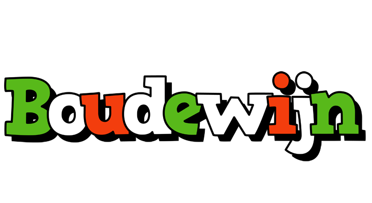 Boudewijn venezia logo