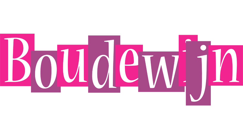 Boudewijn whine logo