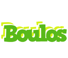 Boulos picnic logo