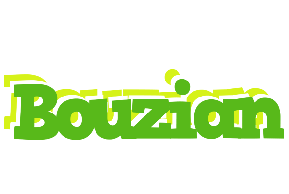 Bouzian picnic logo