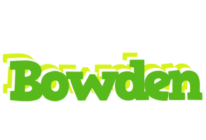 Bowden picnic logo