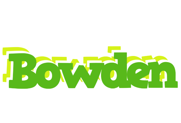 Bowden picnic logo
