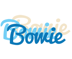 Bowie breeze logo