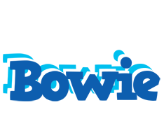 Bowie business logo