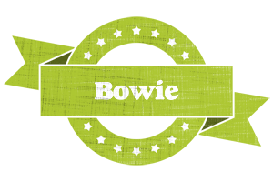 Bowie change logo