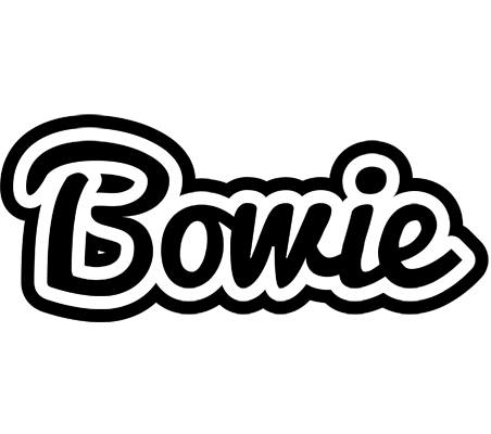 Bowie chess logo