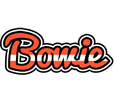 Bowie denmark logo