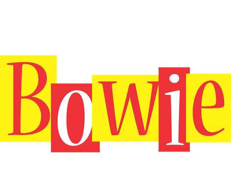 Bowie errors logo