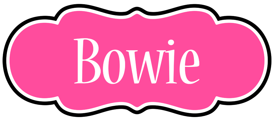 Bowie invitation logo