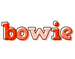 Bowie paint logo