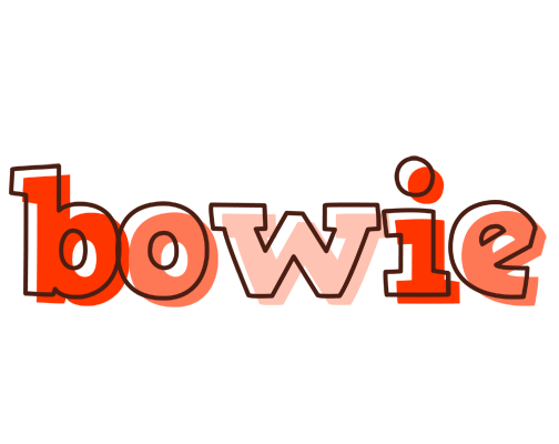 Bowie paint logo