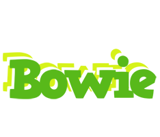 Bowie picnic logo