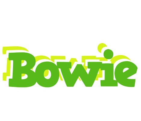 Bowie picnic logo