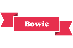 Bowie sale logo