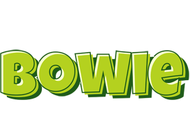 Bowie summer logo