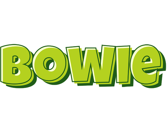 Bowie summer logo