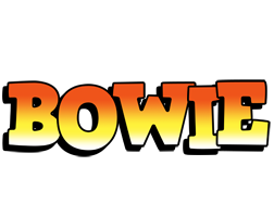 Bowie sunset logo