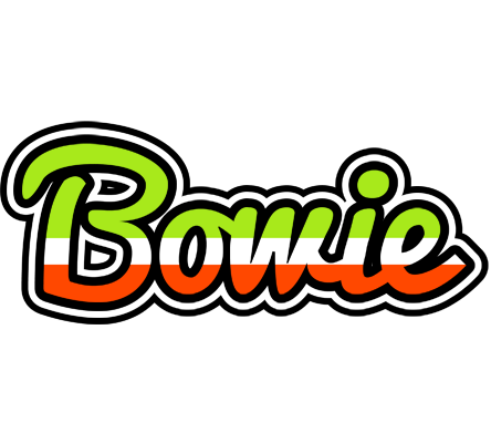 Bowie superfun logo