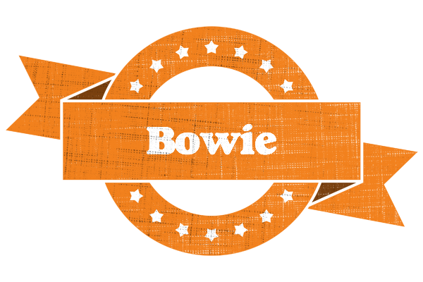 Bowie victory logo