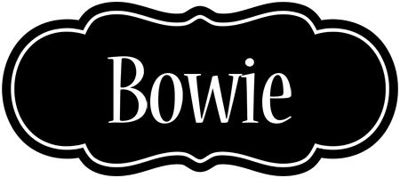 Bowie welcome logo