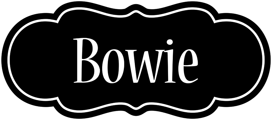 Bowie welcome logo