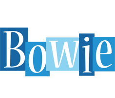 Bowie winter logo