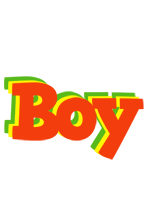 Boy bbq logo