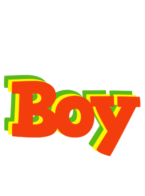 Boy bbq logo
