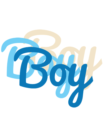 Boy breeze logo