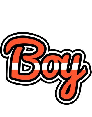 Boy denmark logo