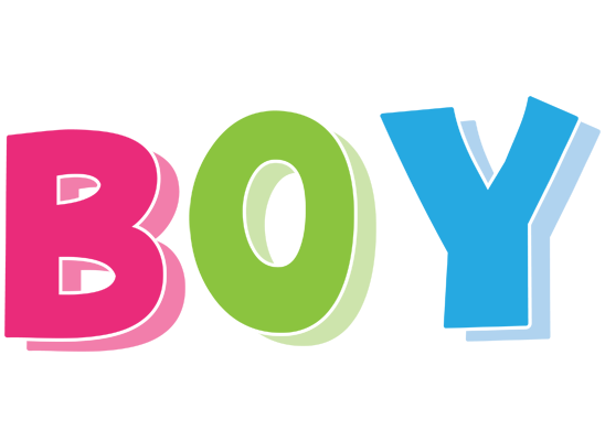 Boy friday logo